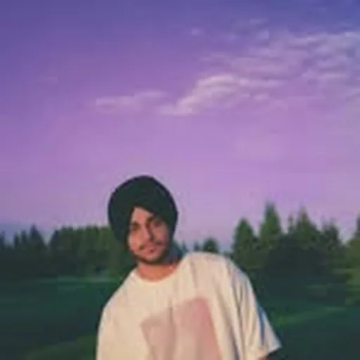 @mani.mallhi profile image