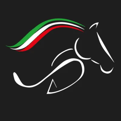 @manuel_albano_sport_horses profile image