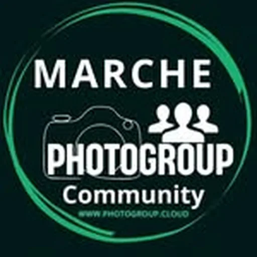@marche_photogroup profile image