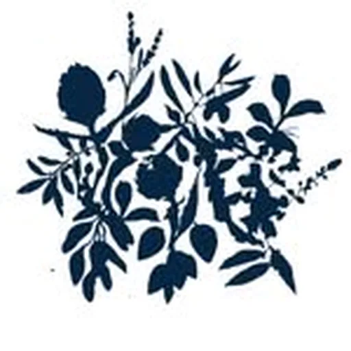 @marchhtx profile image