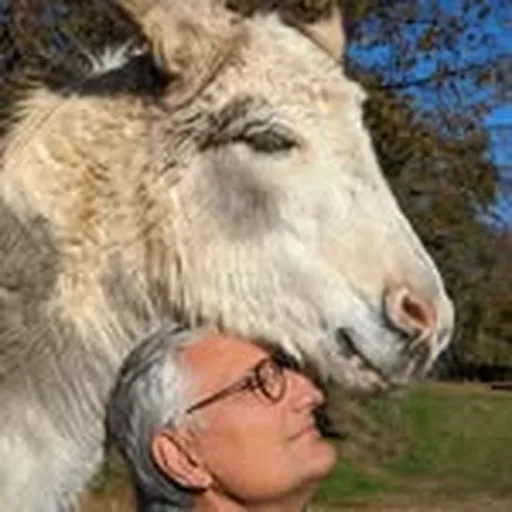 @marcomakaus profile image