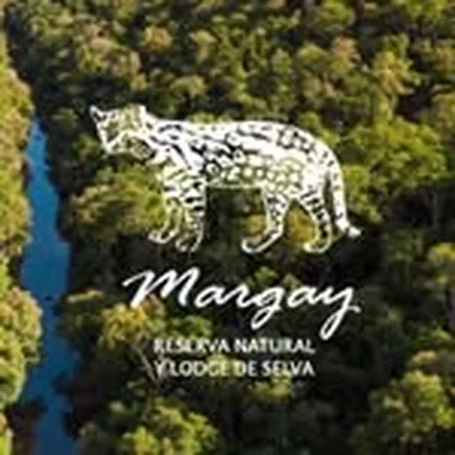 @margaylodge profile image