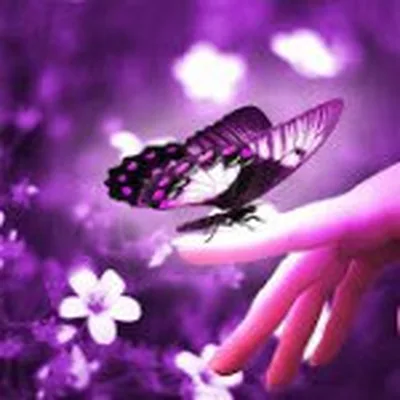 @mariam2022 profile image