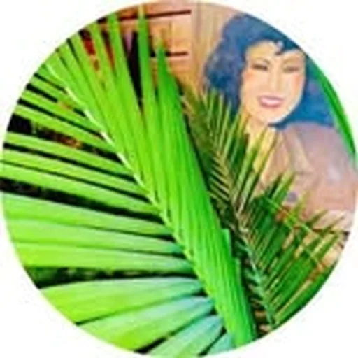 @mariasbar profile image
