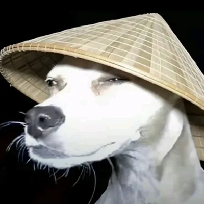 @mariku.png profile image