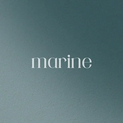 @marine_weddings profile image