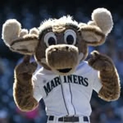 @marinermoose profile image