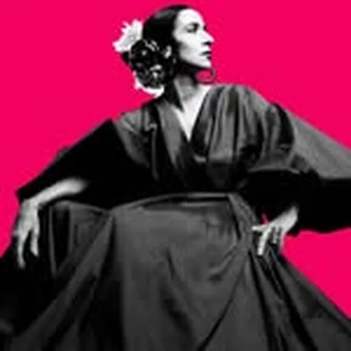 @marisamonte profile image