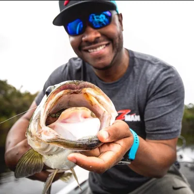 @markdanielsjr profile image