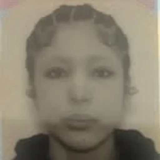 @marsargoum profile image