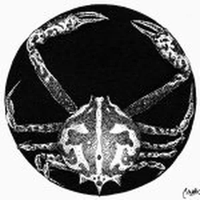 @martin_mak_ilustracion profile image