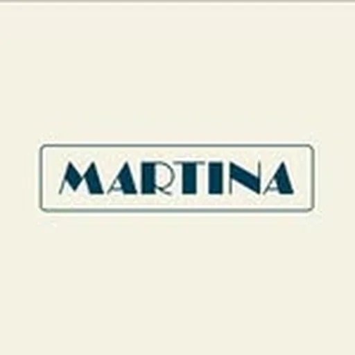 @martinabarbr profile image