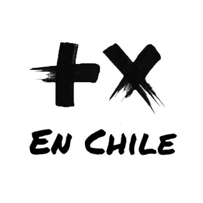 @martingarrixenchile profile image