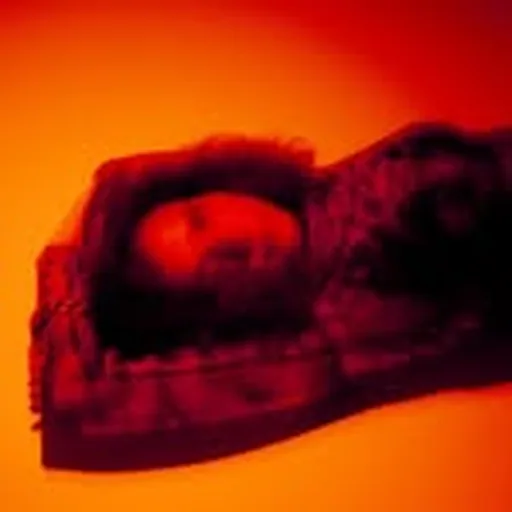 @marylenecorro profile image