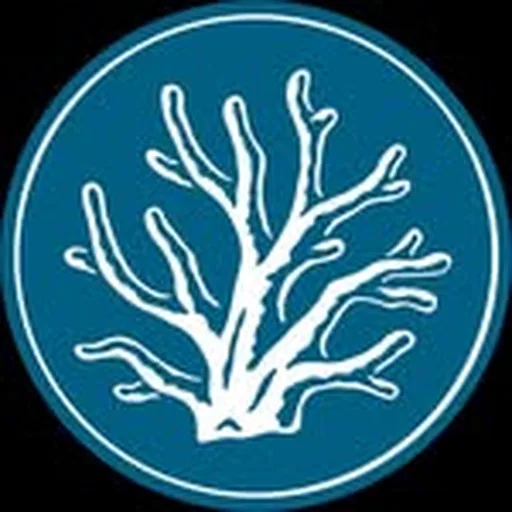 @mauidiversjewelry profile image