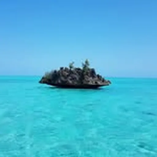 @mauritius profile image