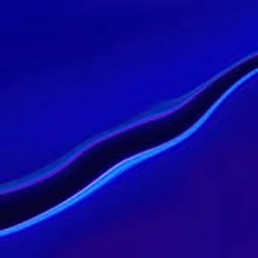 @maxdashevsky profile image