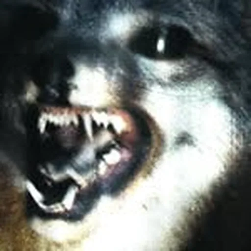 @maxfry profile image