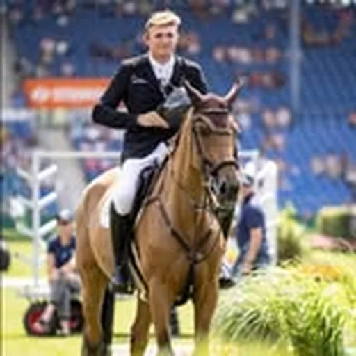 @maxhaunhorst profile image