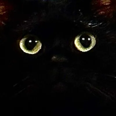 @maxkvvvvv profile image