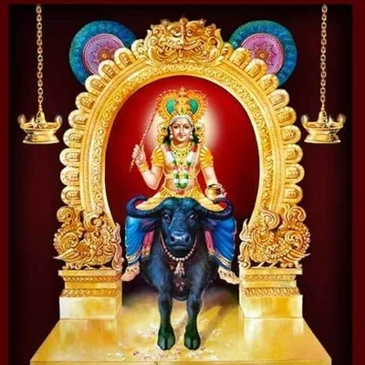 @mayabakthan profile image