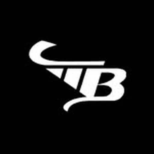 @mbartistsagency profile image