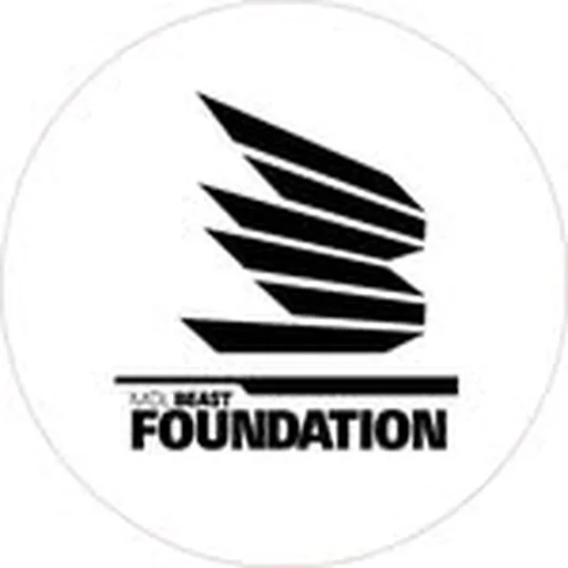 @mdlbeast.foundation profile image