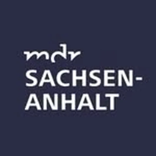 @mdr_san profile image