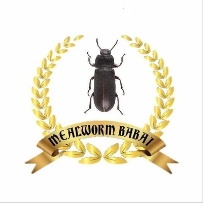 @mealworm_babaei profile image