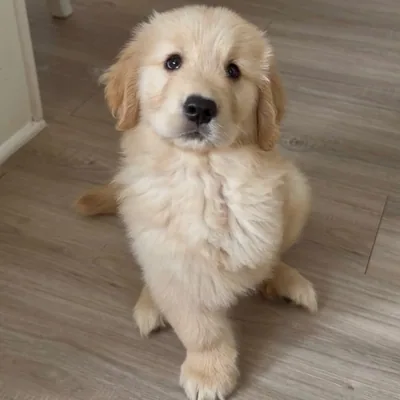 @meetmonty_ profile image