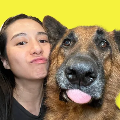 @meetthechows profile image