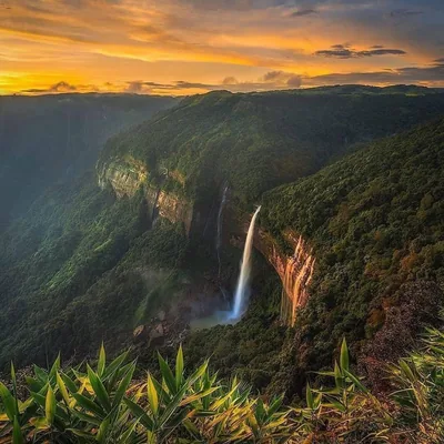 @meghalayatrails profile image