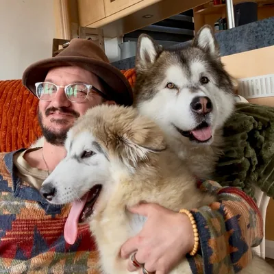 @mekothemalamute profile image