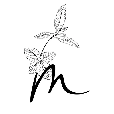 @melisserestaurant profile image