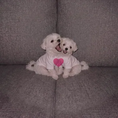@meongterview_ profile image