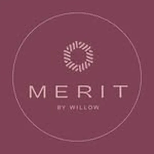 @meritbywillow profile image