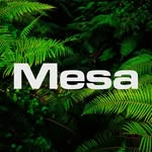 @mesacostamesa profile image