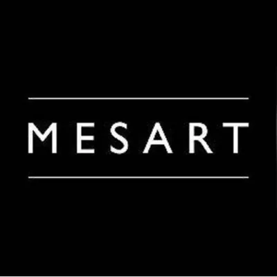 @mesarthair profile image