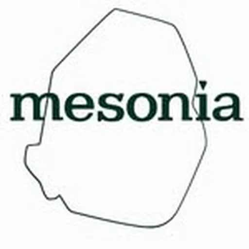 @mesonia.official profile image