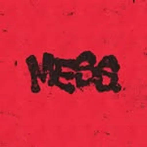 @mess.makerz profile image