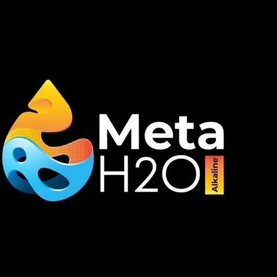 @meta.h2o profile image