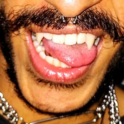 @metamorfo___ profile image