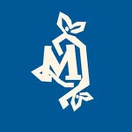 @metamorphisized profile image