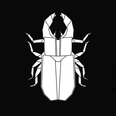 @metamorphosis.dance profile image