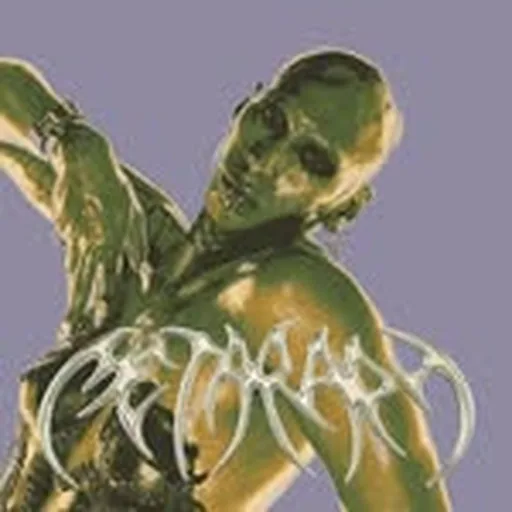 @metaraph_ profile image