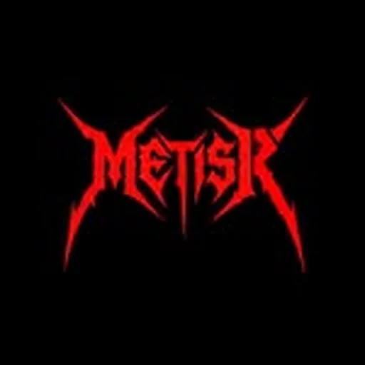 @metiswings profile image