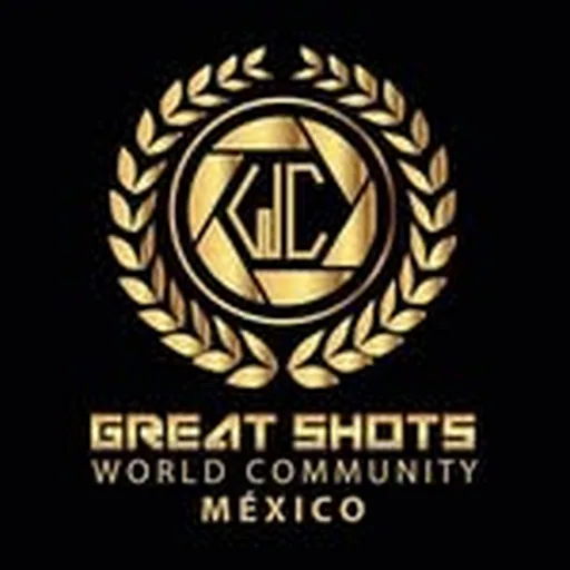 @mexico_greatshots profile image
