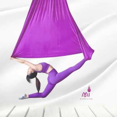 @miaerialyoga profile image