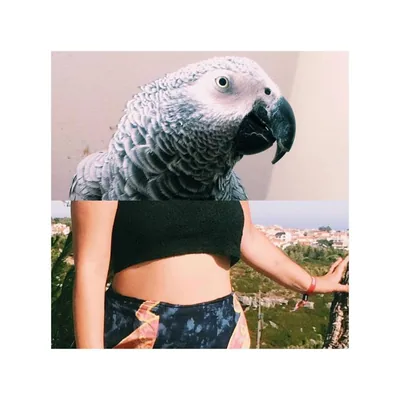 @micaia__ profile image