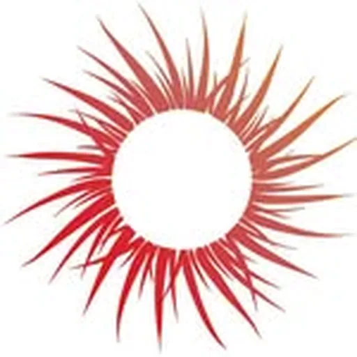 @midnightsunsf profile image